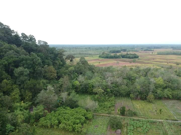 Bukit Piantus